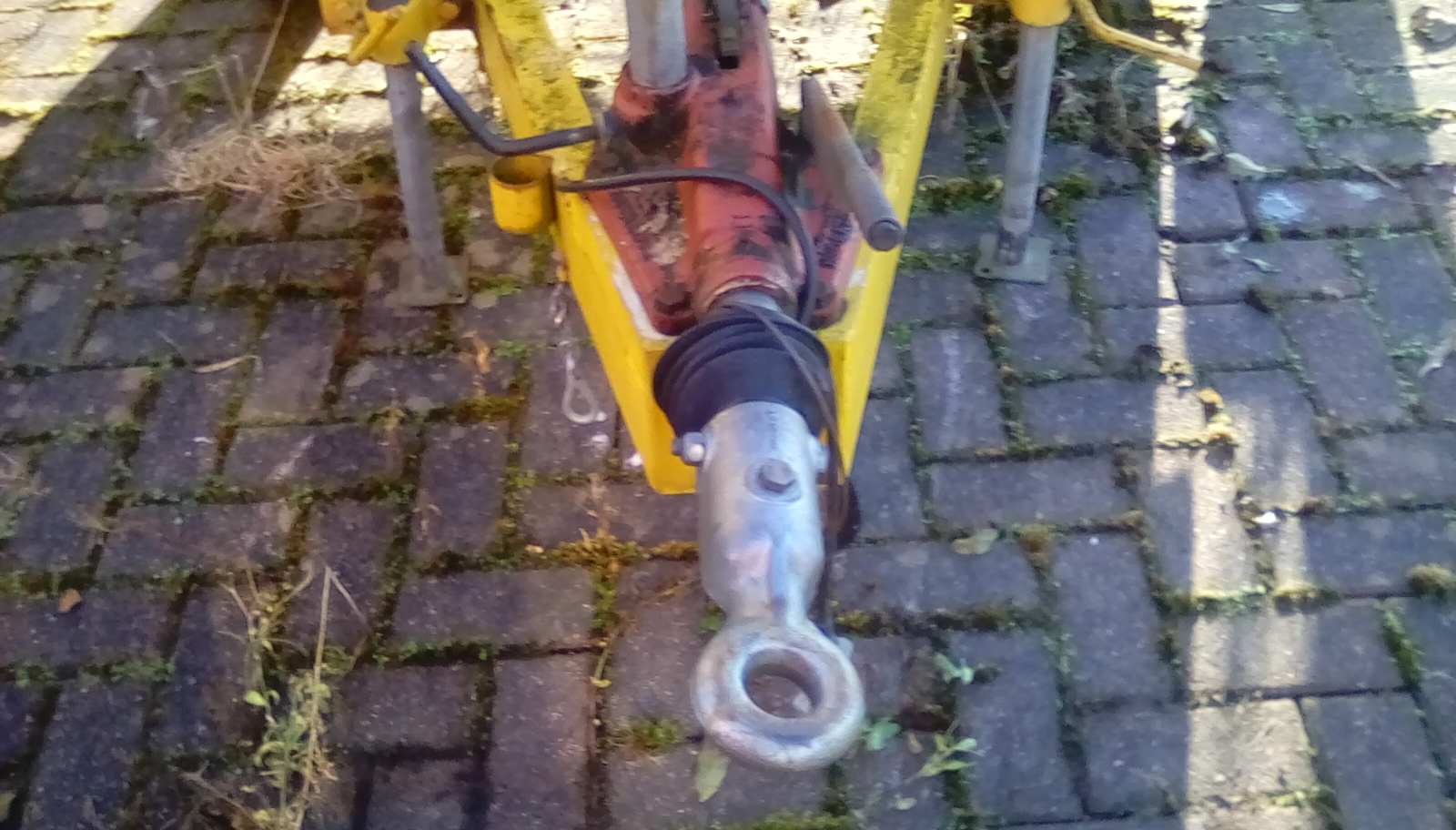 Photo 7